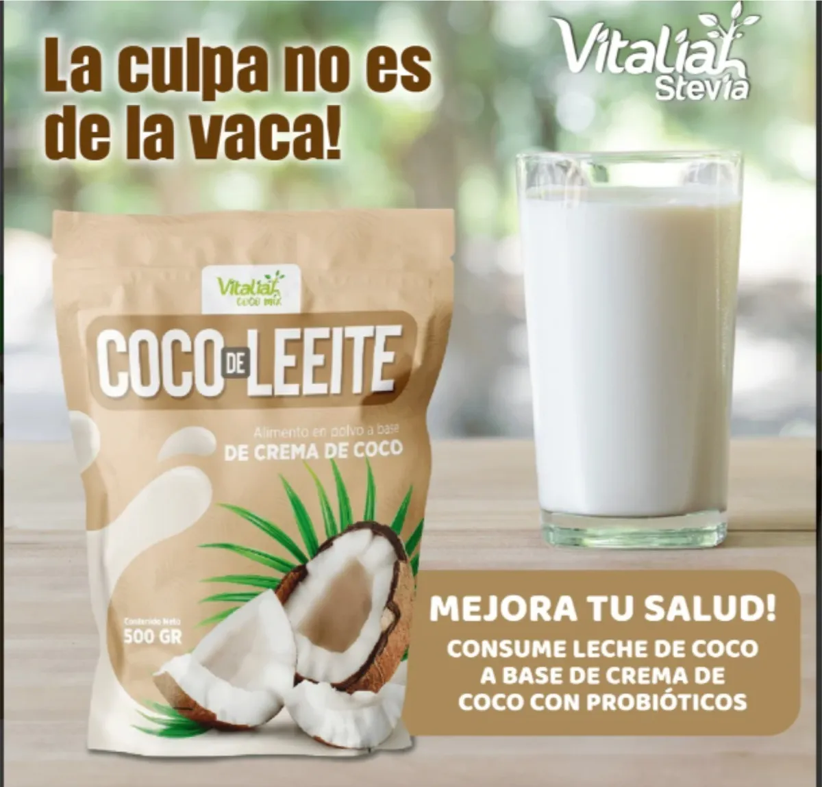 Leche De Coco En Polvo Vitaliah - Imagen 4