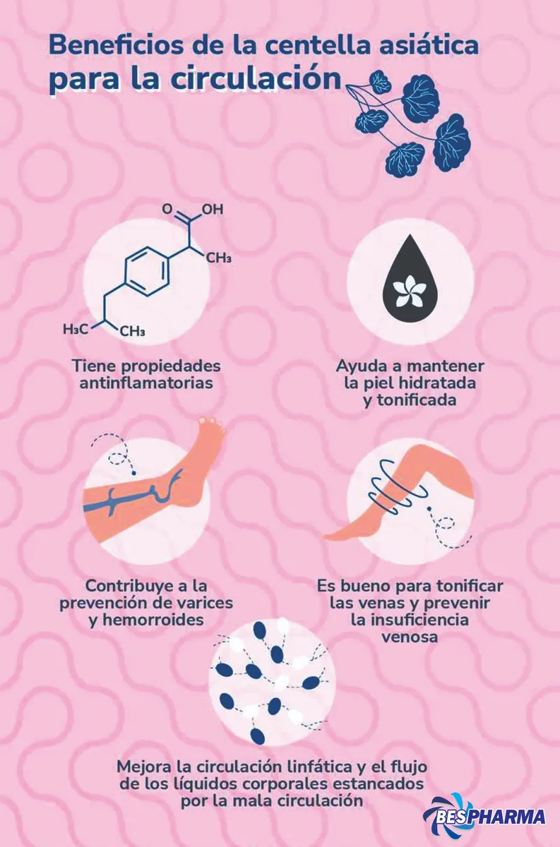 Centella Asiatica Gotu Kola Hel - Imagen 4